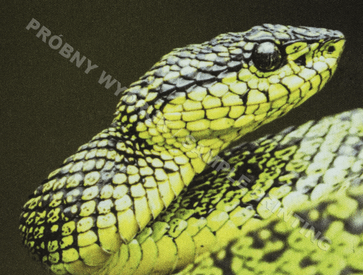 PRINTABLE 220x180MM