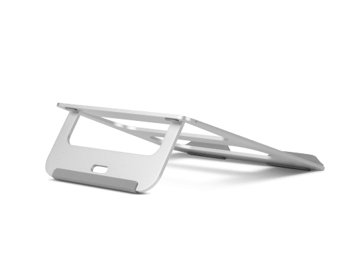 TERN