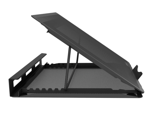 TERN 2