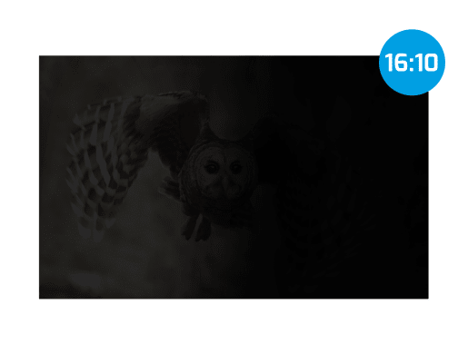 OWL 16"