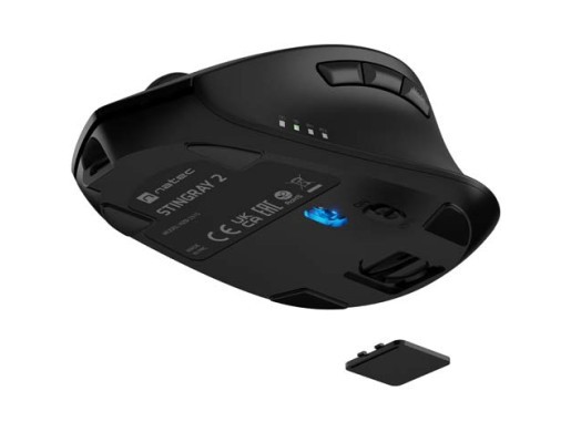 STINGRAY 2