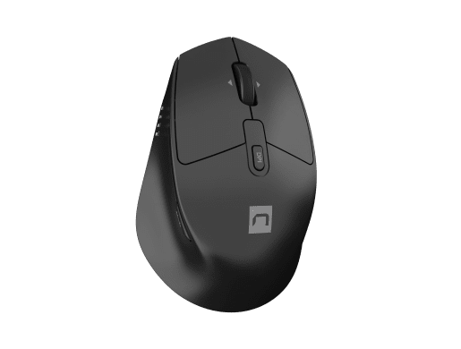 STINGRAY 2