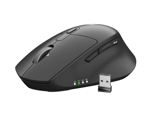 STINGRAY 2
