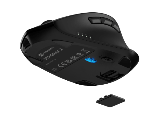 STINGRAY 2
