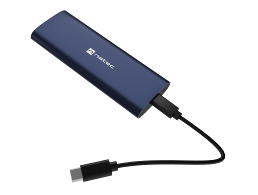 RHINO M.2 NVMe LITE
