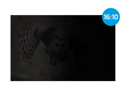 OWL 14" 16:10