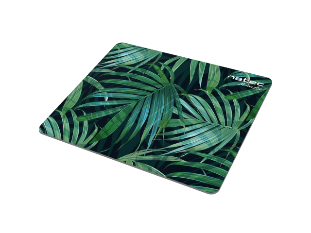 PALM TREE